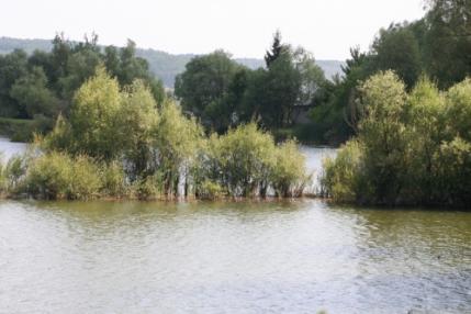 Bývalé štrkovisko s vynikajúcou vodnou plochou Bývalé štrkovisko s vynikajúcou vodnou plochou