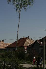 Kultúrnym programom nás pobavili žiaci zo základnej školy a škôlkáry Kultúrnym programom nás pobavili žiaci zo základnej školy a škôlkáry
