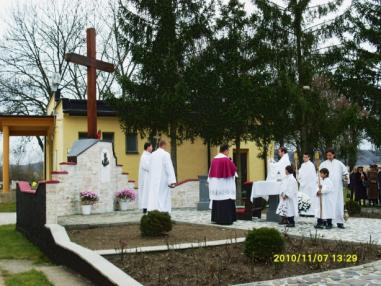 Procesia.
Procesia.