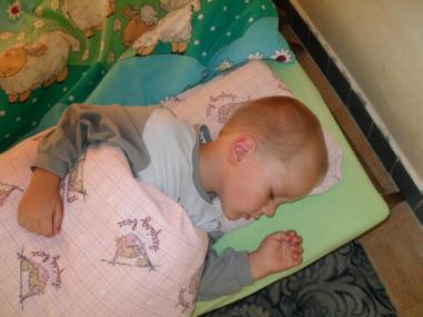 Zaslúžený a povinný obedňajší spánok
Zaslúžený a povinný obedňajší spánok