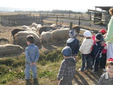 Deti počas návštevy na farme
Deti počas návštevy na farme