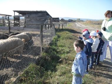 Deti počas návštevy na farme
Deti počas návštevy na farme