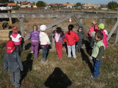 Deti počas návštevy na farme
Deti počas návštevy na farme