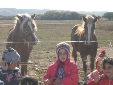 Deti počas návštevy na farme
Deti počas návštevy na farme