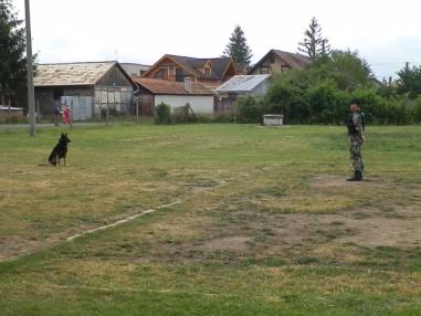 Deti mali pestrý program a boli oceňované za účasť na súťažiach
Deti mali pestrý program a boli oceňované za účasť na súťažiach