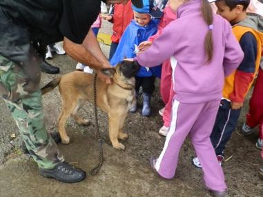 Deti mali pestrý program a boli oceňované za účasť na súťažiach
Deti mali pestrý program a boli oceňované za účasť na súťažiach