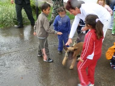 Deti mali pestrý program a boli oceňované za účasť na súťažiach
Deti mali pestrý program a boli oceňované za účasť na súťažiach