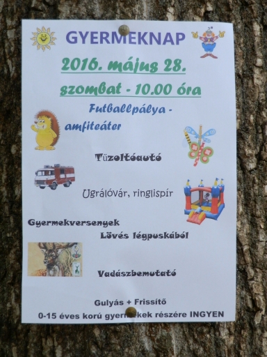 Fotogaléria Deň velických detí na amfiteátri_28.5.2016 (32) Deň velických detí na amfiteátri_28.5.2016