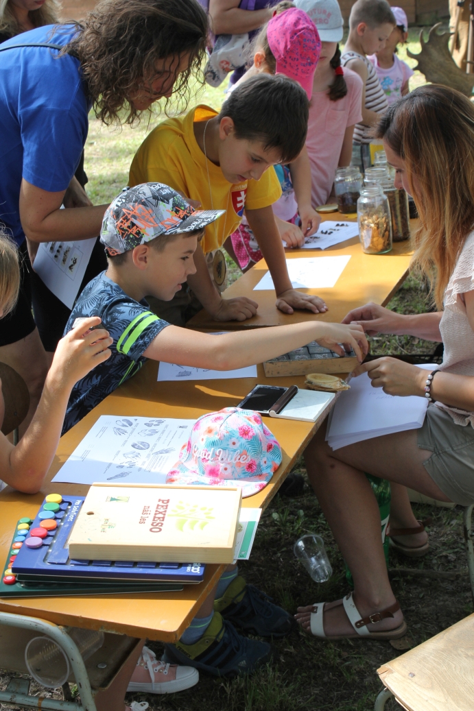 Fotogaléria Veselica na ihrisku z príležitosti MDD_2.6.2018 (26) Veselica na ihrisku z príležitosti MDD_2.6.2018